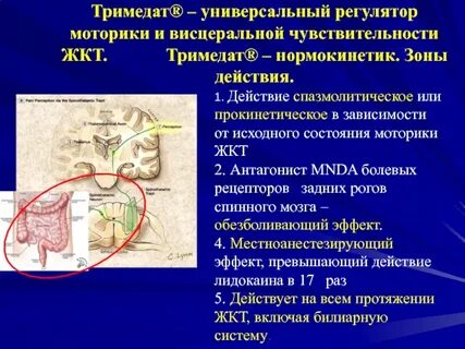 Регуляторы моторики