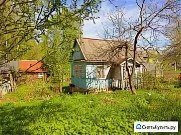 Авито великие луки дачи