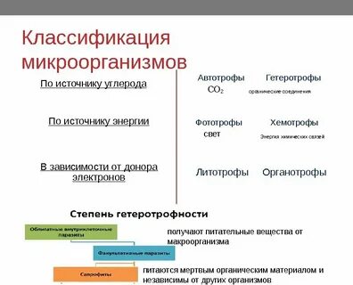 Источник энергии автотрофов