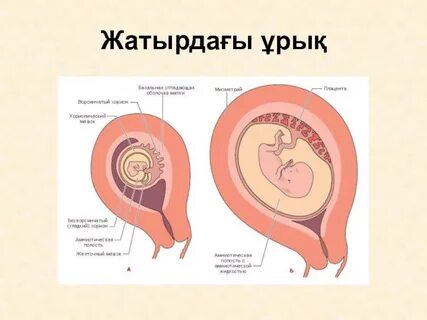 Жасырын камера: ер адам әйелге барлау жасайды