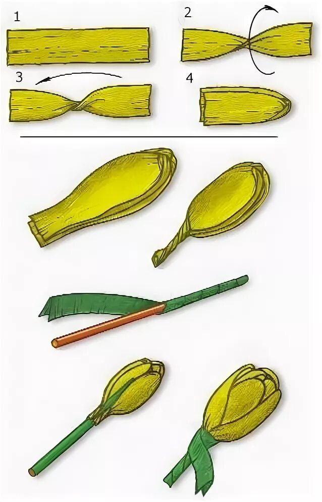 Как сделать крокус из бумаги поэтапно. Тюльпаны из гофрированной бумаги своими руками пошагово. Тюльпан из креповой бумаги пошагово. Тюльпаны из гофрированной бумаги пошагово для начинающих. Тюльпаны из гафриновой бумаги.