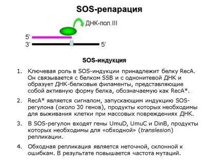 Sos репарация