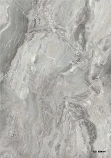Паладина светлая