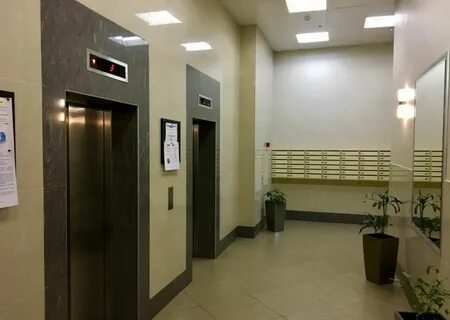 Тсж березовая роща