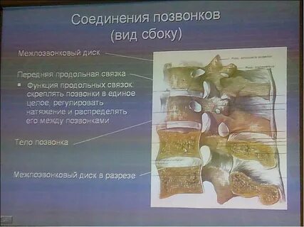 Отдел соединить