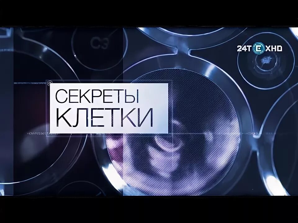 Техно 24 телефон. Техно 24. Мозг Обратная связь. Телеканал 24 Техно. Секретом клетки.