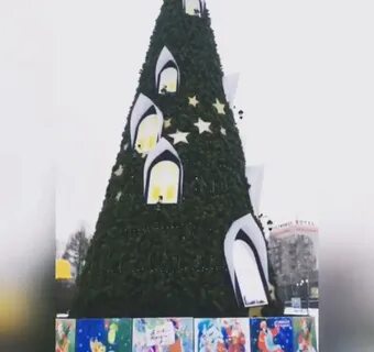 Новогодние березники