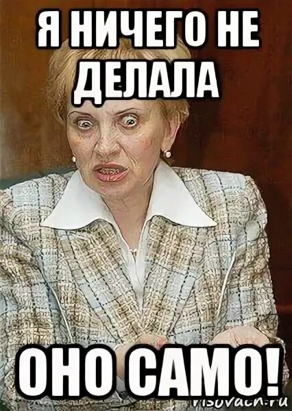 Ничего не сделал только вошел. Я ничего не делала оно само. я ничего не нажимала оно само. судья мем женщина. оно само мем.