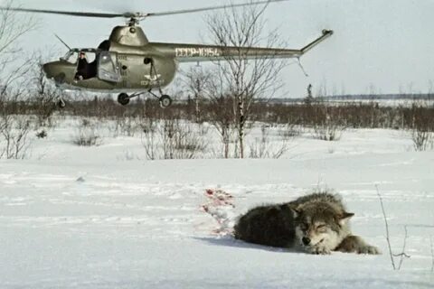 Охотник летит