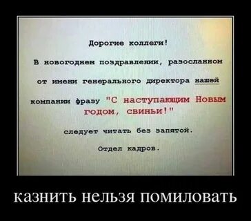 Коллеги фразы