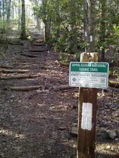 Trail перевод