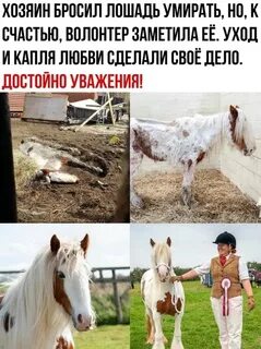 Дохнут лошади в плугу