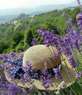 Природа мотива