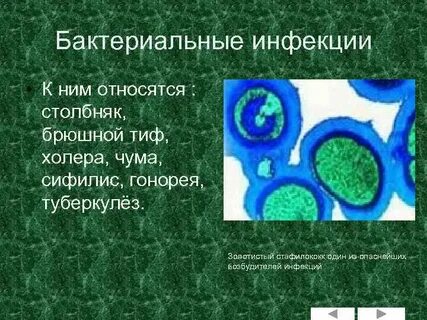 Первыми встречаются с бактериальной инфекцией