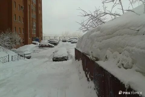 Засыпанные снегом предложение