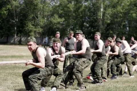 Мгимо сборы