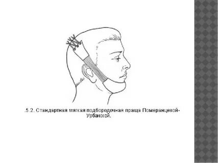 Шина порта