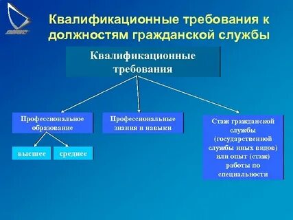 Государственная служба лекции