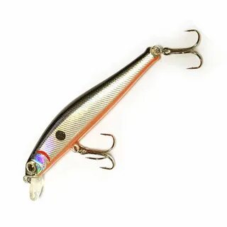 Minnow