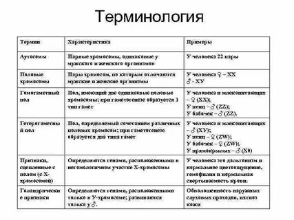 Определение и характеристика понятий