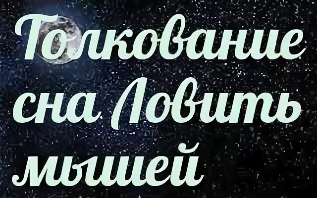 Сонник к чему снятся мыши. К чему снятся мыши во сне. К чему снится мышь женщине. Снится мышонок во сне. Сонник толкование к чему снятся мыши