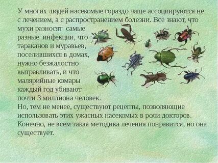 Какую роль играют насекомые в природе