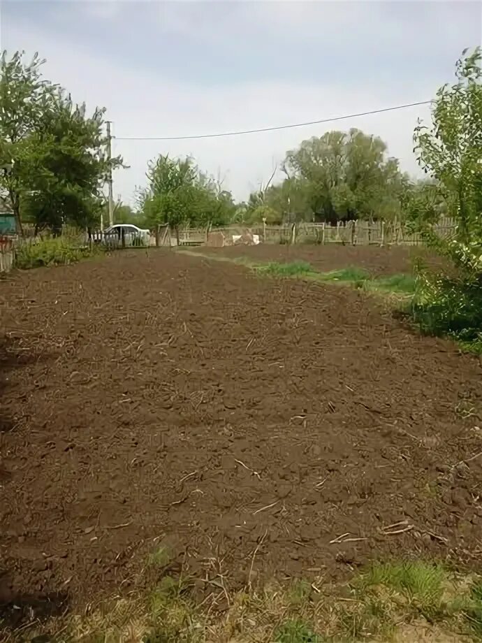 С. Мичурино петропавловск. Мичурино петропавловск. Мичурино йогурт. Пенза поселок мичурино сауны.