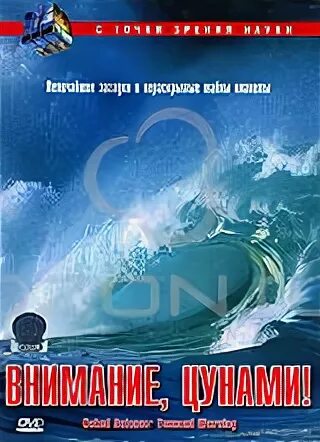 Внимание цунами