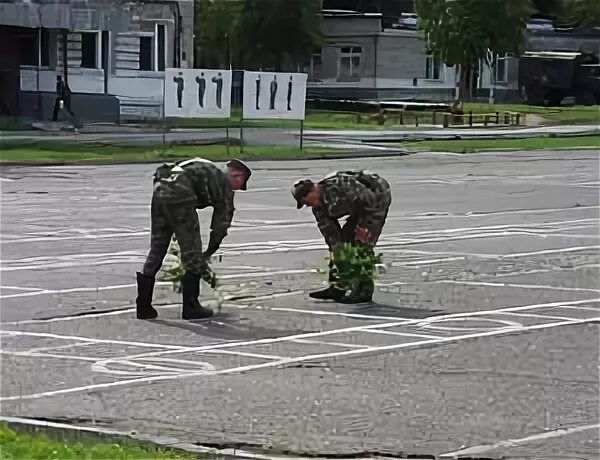 Пхд расшифровка. Подметает плац. Срочник подметает. Солдаты подметают а аэродроме.