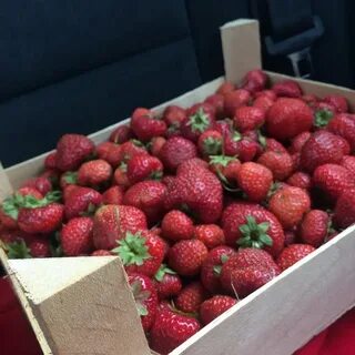 Клубника адреса