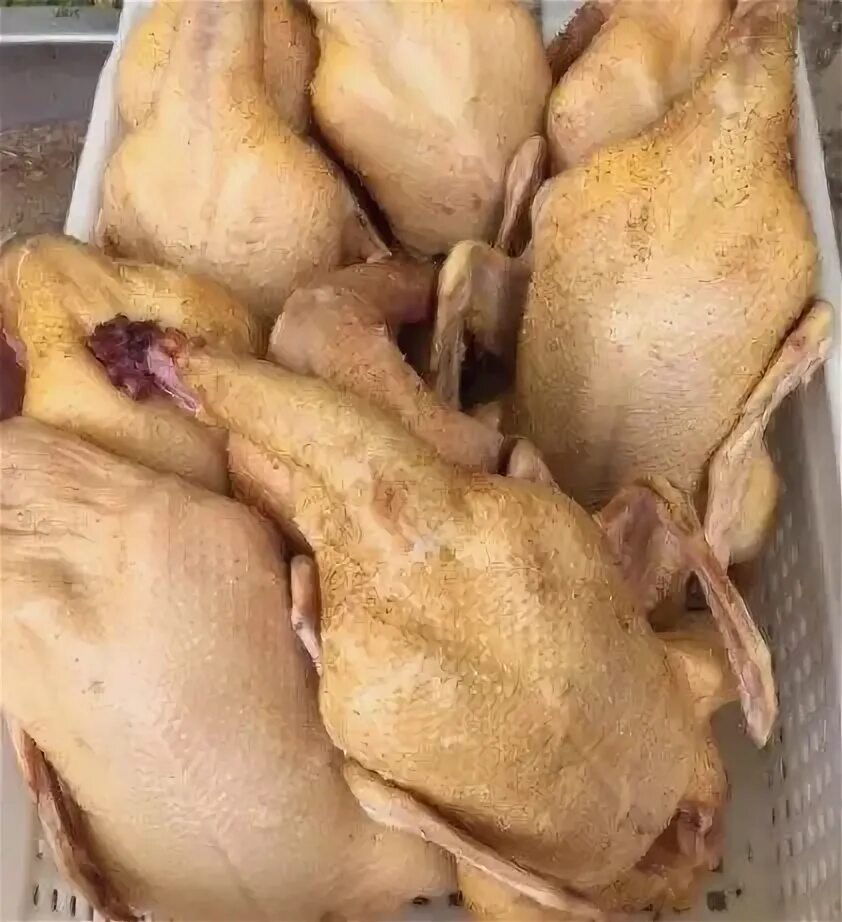 Тушки гусей муларды потроха. Утка мулард. Мясо утки мулард. Индоутка мулард. Мясо утки мулард.