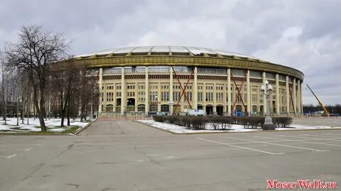 Южный спортивный центр лужники
