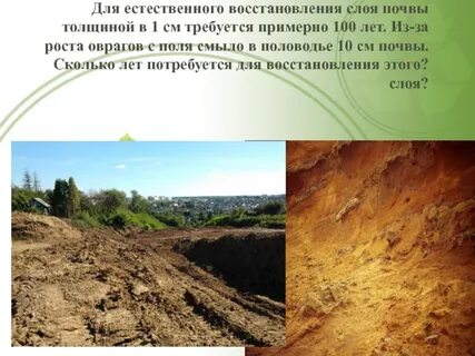 Рост почвы