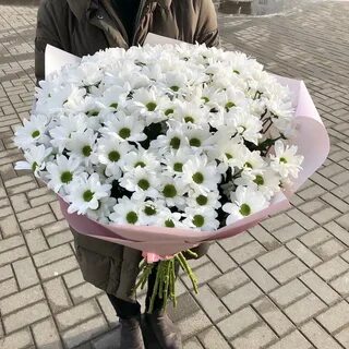 Ромашки минск