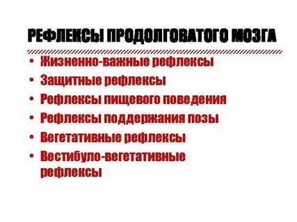 Защитные рефлексы продолговатого мозга