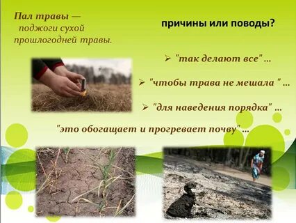 Пал пал переводы
