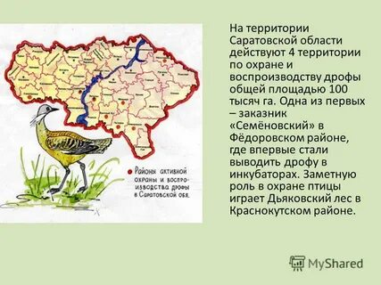 Территории саратовской