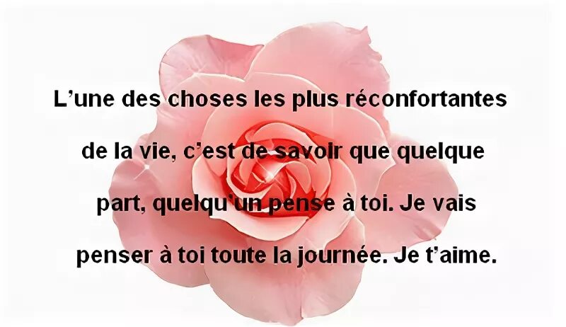 Une des