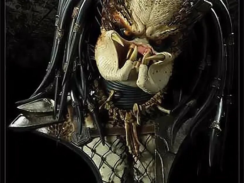 Авито predator. Авито predator