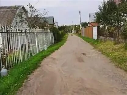 Снт роднево моча