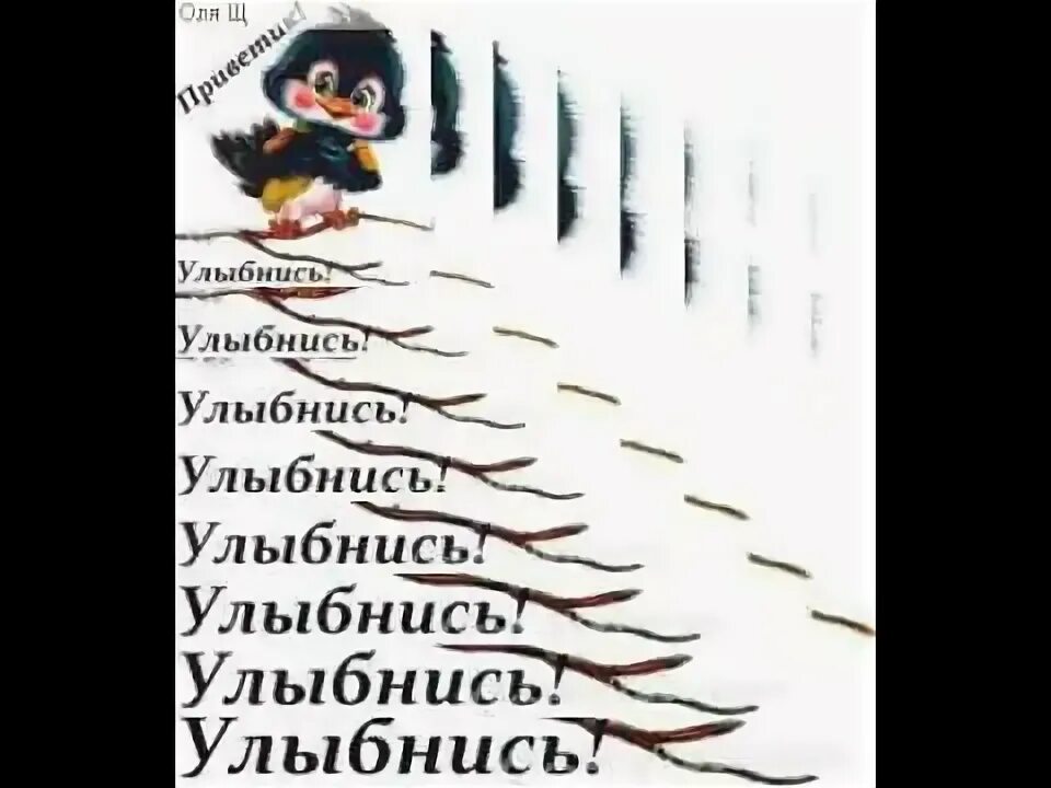 Оля улыбайся. Картинки с добрым утром с животными и пожеланиями. Оленька улыбнись. С днем рождения мышка. Картинка на аватарку в ватсап женщине прикольная.