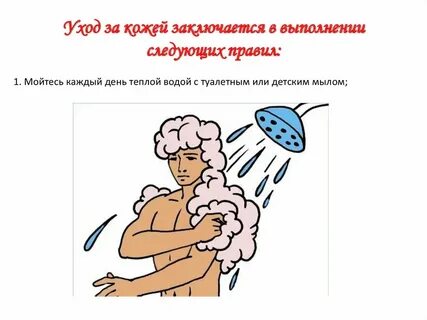 Уход за кожей биология 9 класс