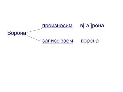 Корень слова ворона