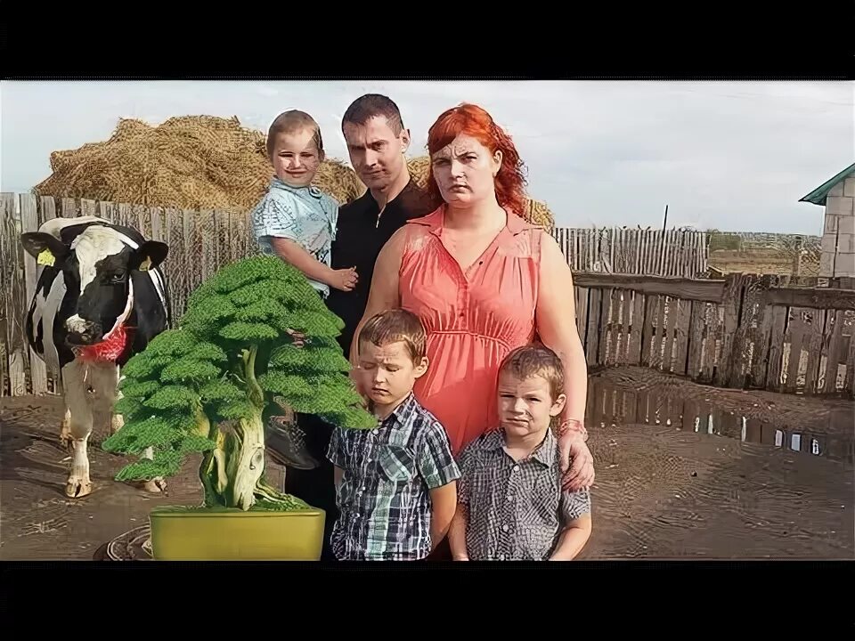 Лукашенко про корову. Лукашенко и коровы.