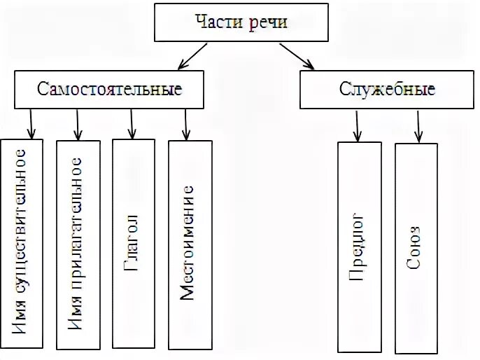 Самостоятельная часть организации. Схема самостоятельные и служебные части речи. Самостоятельные части речи и служебные части речи самостоятельные. Самостоятельные части речи схема. Кластер самостоятельные и служебные части речи.