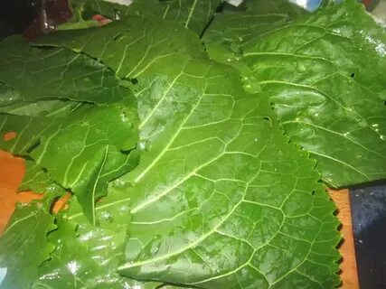 Огурцы листья хрена