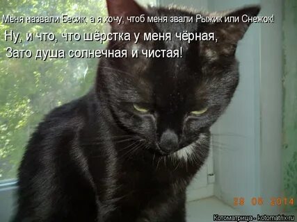Плохо лежало