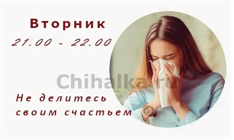 Чихалка четверг 22