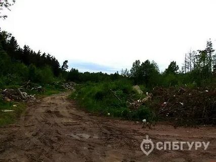 Гранхольм вилладж