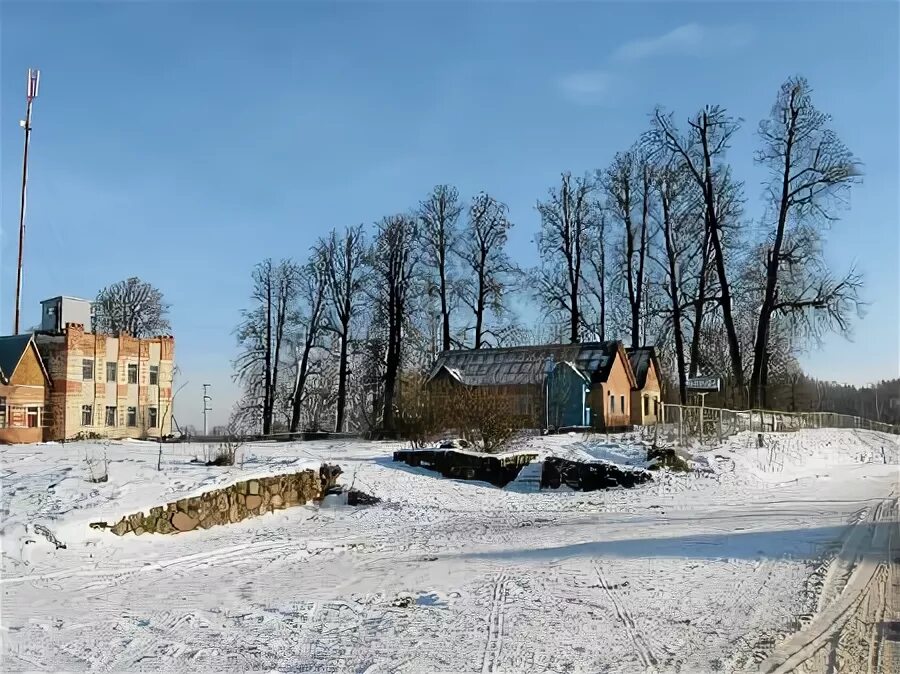 Прилепы. Прилепы